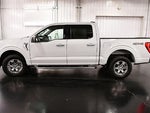 2023 F-150 Thumbnail 4
