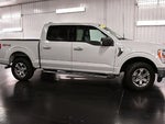 2023 F-150 Thumbnail 8