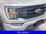 2023 F-150 Thumbnail 16