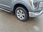 2023 F-150 Thumbnail 4