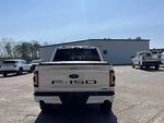 2023 F-150 Thumbnail 6