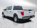 2023 F-150 Thumbnail 4
