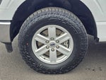 2023 F-150 Thumbnail 8