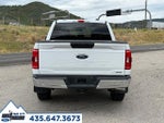 2023 F-150 Thumbnail 4