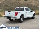 2023 F-150 Thumbnail 5