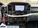 2023 F-150 Thumbnail 19