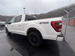 2023 F-150 Thumbnail 4