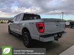 2023 F-150 Thumbnail 5