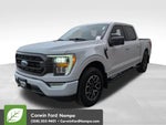 2023 F-150 Thumbnail 7