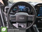 2023 F-150 Thumbnail 14