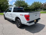 2023 F-150 Thumbnail 7