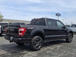 2023 F-150 Thumbnail 6