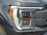 2023 F-150 Thumbnail 9