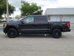 2023 F-150 Thumbnail 6