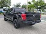 2023 F-150 Thumbnail 7