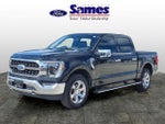 2023 F-150 Thumbnail 7