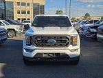 2023 F-150 Thumbnail 8