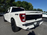 2023 F-150 Thumbnail 3
