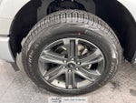 2023 F-150 Thumbnail 19