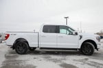 2023 F-150 Thumbnail 8