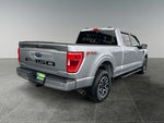 2023 F-150 Thumbnail 6