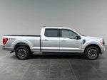2023 F-150 Thumbnail 7