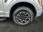 2023 F-150 Thumbnail 8