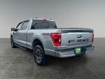 2023 F-150 Thumbnail 6