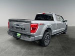 2023 F-150 Thumbnail 8