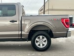 2023 F-150 Thumbnail 9