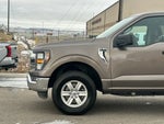 2023 F-150 Thumbnail 10