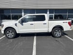 2023 F-150 Thumbnail 5