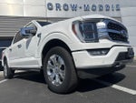 2023 F-150 Thumbnail 10
