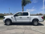 2023 F-150 Thumbnail 5