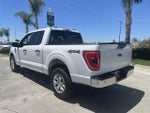 2023 F-150 Thumbnail 6