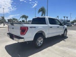 2023 F-150 Thumbnail 8
