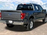 2023 F-150 Thumbnail 7