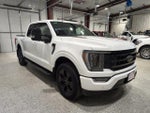 2023 F-150 Thumbnail 4