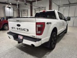 2023 F-150 Thumbnail 6