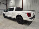 2023 F-150 Thumbnail 8