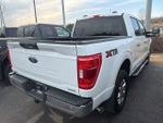 2023 F-150 Thumbnail 7