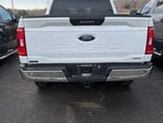 2023 F-150 Thumbnail 8