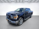 2023 F-150 Thumbnail 3