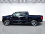 2023 F-150 Thumbnail 4