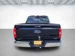 2023 F-150 Thumbnail 6