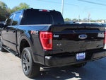 2023 F-150 Thumbnail 10