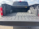 2023 F-150 Thumbnail 12