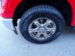 2023 F-150 Thumbnail 4