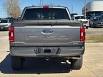 2023 F-150 Thumbnail 10