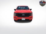 2023 F-150 Thumbnail 8
